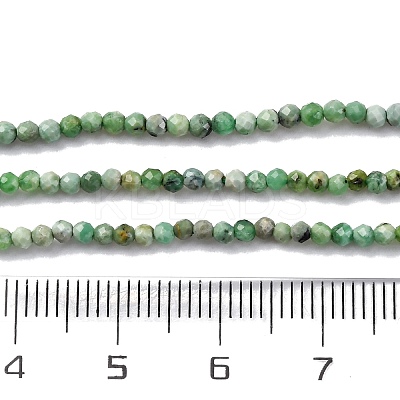 Natural Variscite Beads Strands LS-G-G188-B05-03-1