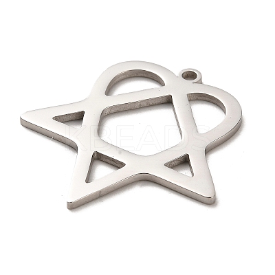 Non-Tarnish 304 Stainless Steel Pendants STAS-B054-07P-1