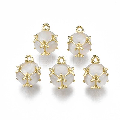 Creamy White Imitation Cat Eye Resin Charms KK-S364-159-1