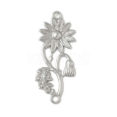 304 Stainless Steel Connector Charms STAS-Z144-05P-1