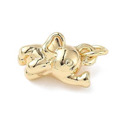 Brass Charms ZIRC-I356-04G-01-1