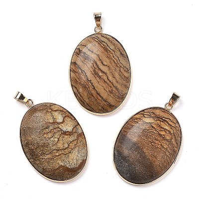 Electroplate Natural Picture Jasper Pendants KK-F882-06G-02-1