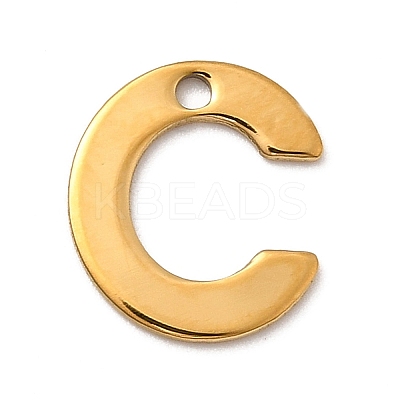 304 Stainless Steel Charms LS-STAS-B093-12G-C-1