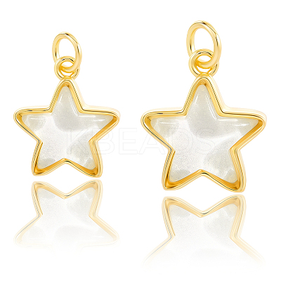 10Pcs 2 Styles Brass Charms KK-BBC0019-20A-1