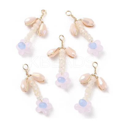 Glass Beaded Pendants GLAA-K060-02G-05-1