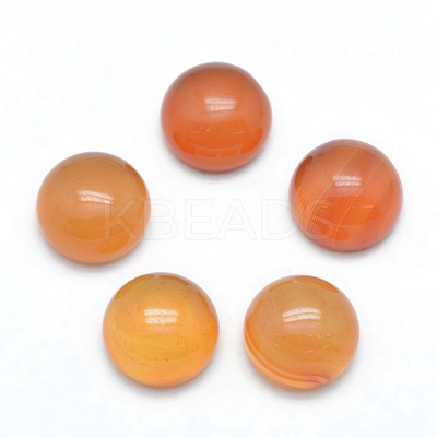Natural Carnelian Cabochons X-G-P393-R41-10mm-1