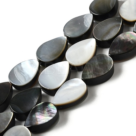 Natural Black Lip Shell Beads Strands BSHE-D300-04A-1