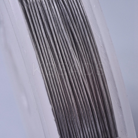 Non-Tarnish Tiger Tail Wire TWIR-D001-02A-1