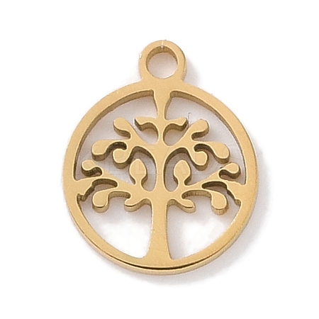 304 Stainless Steel Charms STAS-K286-01D-G-1