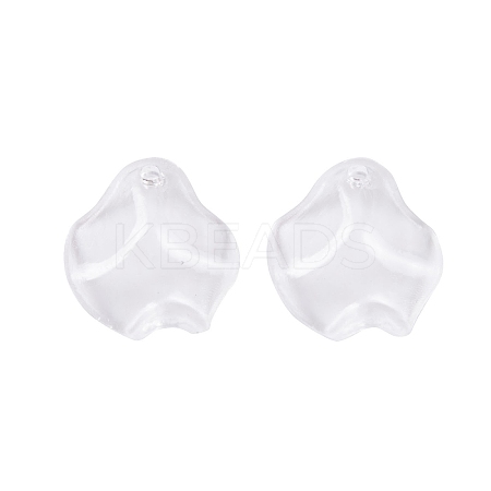 Transparent Acrylic Pendants TACR-G050-01F-1
