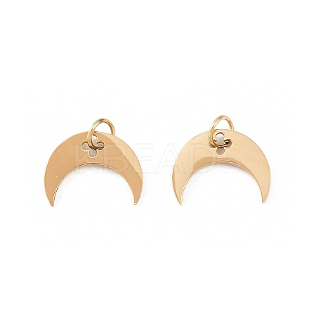 304 Stainless Steel Charms STAS-D390-25G-1