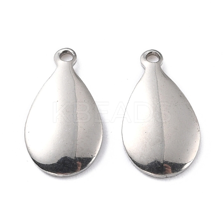 Tarnish Resistant 201 Stainless Steel Charms STAS-K217-87-1