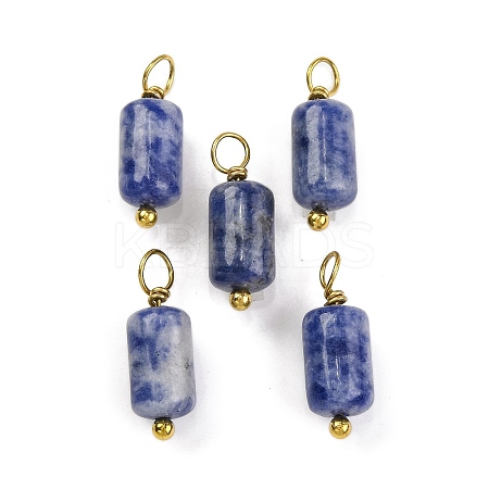 Natural Sodalite Cloumn Pendants LS-STAS-H221-04G-06-1