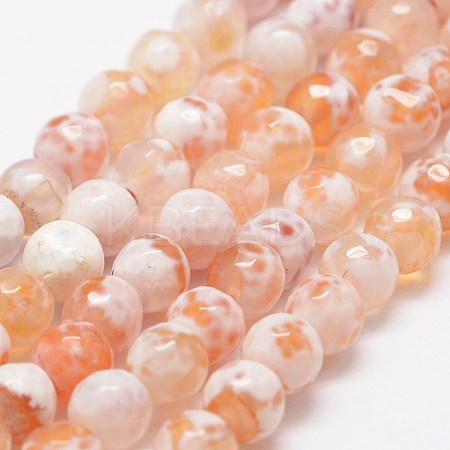 Faceted Natural Fire Crackle Agate Beads Strands G-F447-6mm-B03-1
