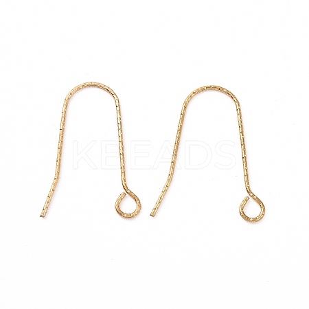 Ion Plating(IP)  316 Stainless Steel Earring Hooks X-STAS-C059-10G-1