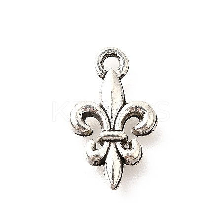 Tibetan Style Alloy Pendants LS-TIBE-L008-15AS-1