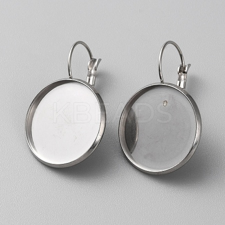304 Stainless Steel Hoop Earring Findings STAS-WH0001-17D-P-1