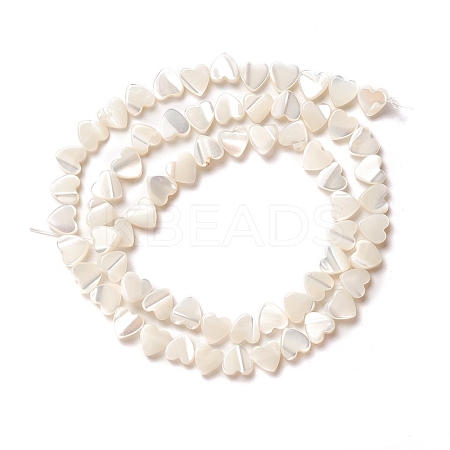 Natural Trochid Shell/Trochus Shell Beads SSHEL-O001-27A-1