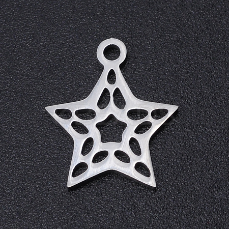 Non-Tarnish 201 Stainless Steel Laser Cut Charms STAS-S105-T897-1-1