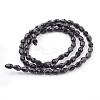 Glass Beads Strands GLAA-R024-6x4mm-13-2