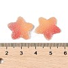 Imitation Candy Food Style Resin Cabochons RESI-R461-02L-3