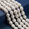 Natural Cultured Freshwater Pearl Beads Strands PEAR-N012-08N-2
