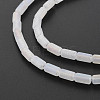 Electroplate Frosted Glass Beads Strands EGLA-T008-026-A01-4