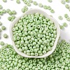 Baking Paint Glass Seed Beads SEED-C003-02D-2