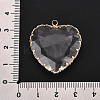 Transparent Glass Pendants KK-N283-01L-G-4