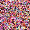 Baking Paint Glass Seed Beads X-SEED-S042-05B-48-3