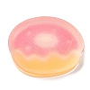 Translucent Resin Imitation Food Decoden Cabochons LS-RESI-H147-01O-2