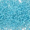 8/0 Transparent Glass Seed Beads SEED-F003-03B-10-3
