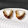 Brass Resin Hoop Earrings EJEW-P333-11A-G02-1