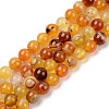 Natural Sardonyx Beads Strands G-S369-002C-B02-1