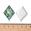 304 Stainless Steel Pave Natural Paua Shell Stud Earring Findings STAS-Z125-05P-3
