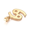 304 Stainless Steel Pendants STAS-L210-06H-G-2