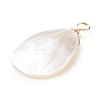 Natural Trochid Shell/Trochus Shell Pendants X-PALLOY-JF01393-4