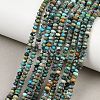 Natural HuBei Turquoise Beads Strands G-B175-A13-2x4mm-1