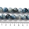 Natural Blue Ice Glacierite Stone Beads Strands G-G078-A01-04-5