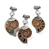 Synthetic Opalite Fossil Snail Pendants G-F062-07-1