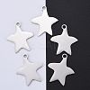 Tarnish Resistant 304 Stainless Steel Pendants LS-STAS-I140-13S-2