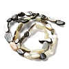 Natural Black Lip Shell Beads Strands SHEL-G020-04-2
