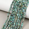 Natural HuBei Turquoise Beads Strands G-B175-A14-2x4mm-1