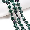 Natural Ruby in Zoisite Beads Strands G-T138-194-1