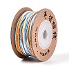 30M Segment Dyed Macrame Cotton Cord OCOR-T018-01I-2