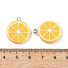 Opaque Resin Pendants RESI-S013-02H-2
