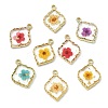 10Pcs 5 Colors Zinc Alloy Epoxy Resin Pendants FIND-CJ0004-93-8