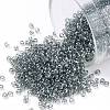 TOHO Round Seed Beads SEED-JPTR15-0113-1