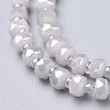 Glass Beads Strands EGLA-F148-A14-3