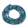 Natural Apatite Beads Strands G-G155-A01-01-3